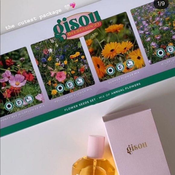 iso gisou - Picture 4 of 9